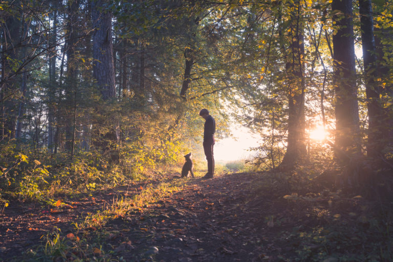 Survival-Thrival-Life-Goes-On-Web